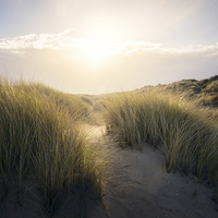 Buy canvas prints of Lost in the Sand Dunes by steve docwra