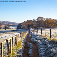 Buy canvas prints of Footpath in the frost by Steve Hughes