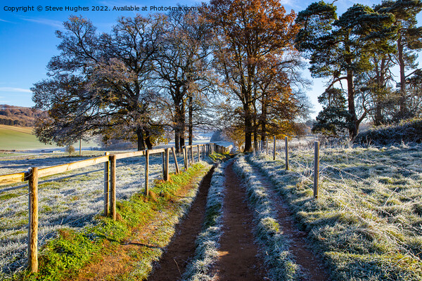 Winters day walk in the Surrey Hills Picture Board by Steve Hughes