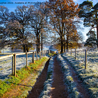 Buy canvas prints of Winters day walk in the Surrey Hills by Steve Hughes