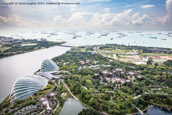 Gardens by the Bay in Singapore Picture Board by Steve Hughes