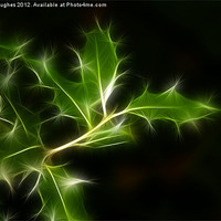Buy canvas prints of Fractalius Holly manipulation by Steve Hughes