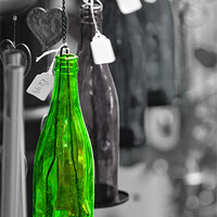 Buy canvas prints of One Green Bottle hanging on wall by Steve Hughes