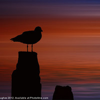 Buy canvas prints of Bird Silhouette manipulation by Steve Hughes