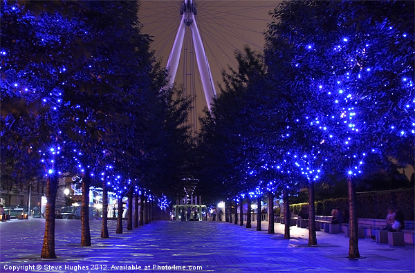 London Eye trees flooded Picture Board by Steve Hughes