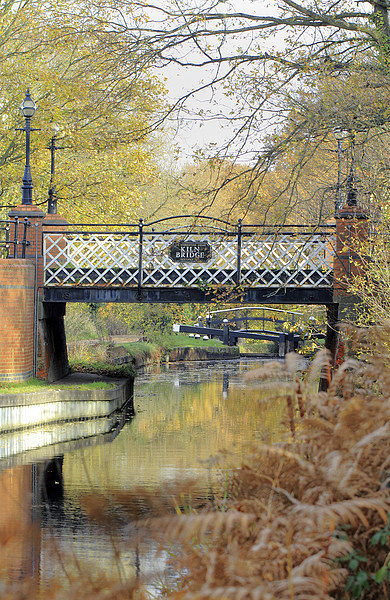 Kiln Bridge in Autumn Picture Board by Steve Hughes