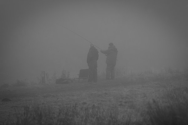 Foggy morning fish Picture Board by Steve Hughes