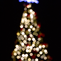 Buy canvas prints of Christmas Tree Bokeh by Steve Hughes