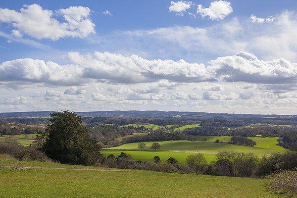 Spring views from Newlands Corner. Picture Board by Steve Hughes