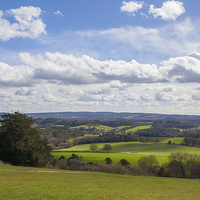 Buy canvas prints of Spring views from Newlands Corner. by Steve Hughes