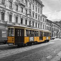 Buy canvas prints of Tram in Milan by Steve Hughes