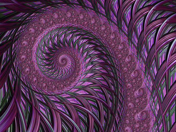 Fractal art maroon spirals Picture Board by Steve Hughes