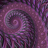 Buy canvas prints of Fractal art maroon spirals by Steve Hughes