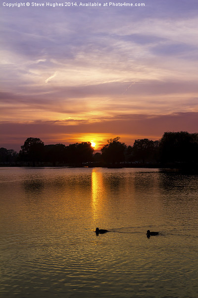  Bushy Park Sunset Picture Board by Steve Hughes