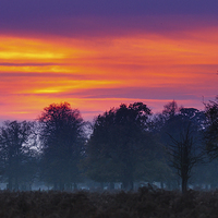 Buy canvas prints of Orange sky across Windsor Great Park by Steve Hughes
