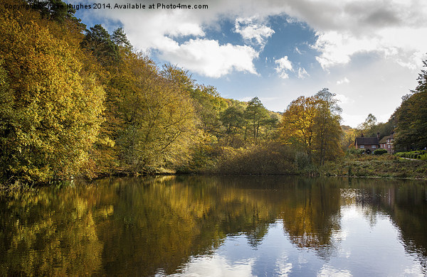  Friday Street Lake in Autumnal colours Picture Board by Steve Hughes