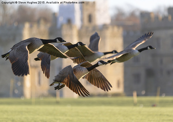 Leeds Castle Fly Past Picture Board by Steve Hughes
