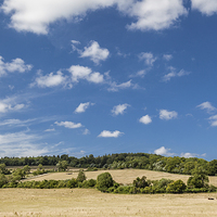 Buy canvas prints of  North Downs Surrey Hills by Steve Hughes