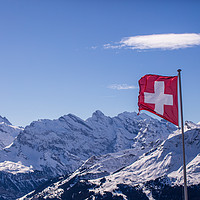 Buy canvas prints of Swiss flag flying high by Steve Hughes
