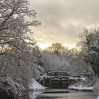 Buy canvas prints of Winter on the Basingstoke Canal by Steve Hughes