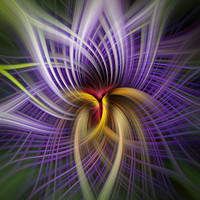Buy canvas prints of Purple Passion flower manipulation by Steve Hughes