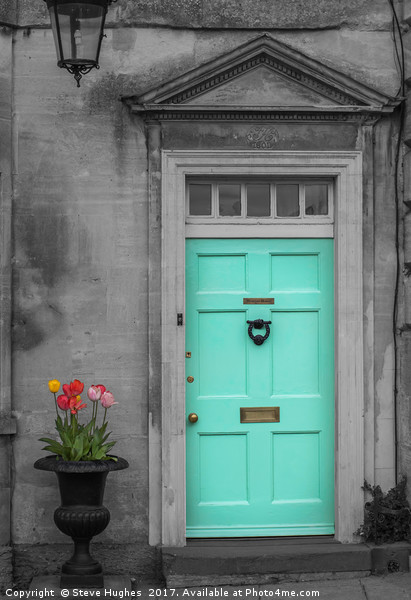 Turquise Front door and Tulips Picture Board by Steve Hughes