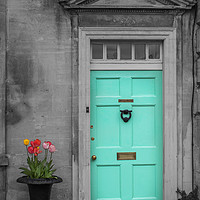 Buy canvas prints of Turquise Front door and Tulips by Steve Hughes