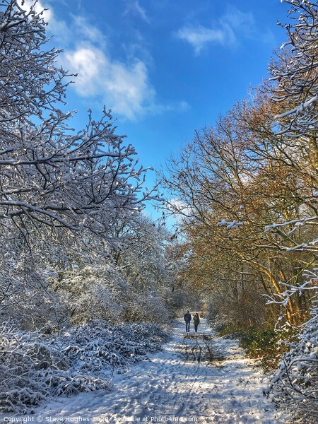 Snowy walk at Newlands Corner Picture Board by Steve Hughes