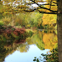 Buy canvas prints of Basingstoke Canal in Autumnal colours by Steve Hughes