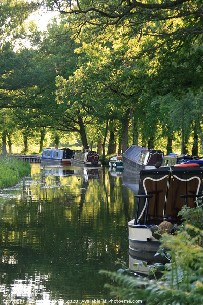 Boats on the Basingstoke canal Picture Board by Steve Hughes