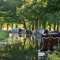 Buy canvas prints of Boats on the Basingstoke canal by Steve Hughes