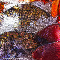 Buy canvas prints of Seafood by Digby Merry