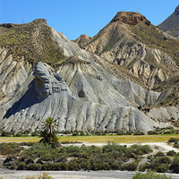 Buy canvas prints of Landscape of Tabernas by Digby Merry