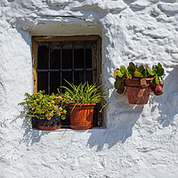 Buy canvas prints of Cottage window by Digby Merry