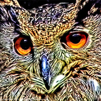 Buy canvas prints of Metallic Owl by Roger Butler