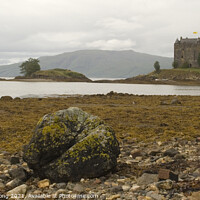 Buy canvas prints of Castle Stalker, Appin, Scotland by Simon Armstrong