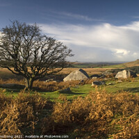 Buy canvas prints of Combeshead Tor, Dartmoor by Simon Armstrong