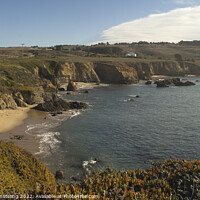 Buy canvas prints of Pacific Coast California by Simon Armstrong