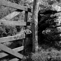 Buy canvas prints of Rustic gate post by Simon Armstrong