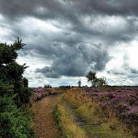 Buy canvas prints of  Wuthering Heights by Alan Mattison