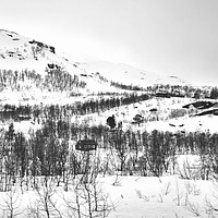 Buy canvas prints of Snowscape norway by cairis hickey