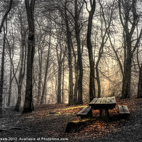 Buy canvas prints of Frosty Wood by Alison Streets