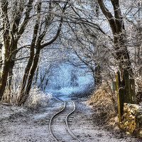 Buy canvas prints of The Rickety Track by Alison Streets