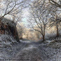 Buy canvas prints of Winter by Alison Streets