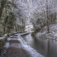 Buy canvas prints of  Cromford Canal in Winter by Alison Streets