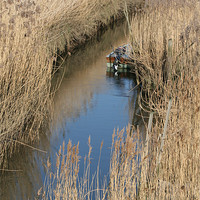 Buy canvas prints of Boat in reeds by Kathy Simms