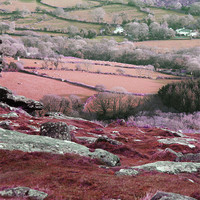 Buy canvas prints of Dartmoor Landscape by Emily Panizzi