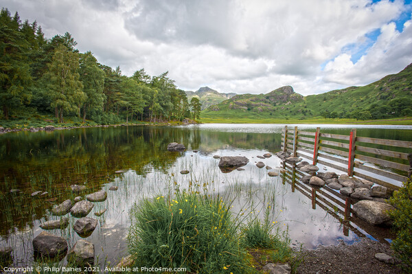 Blea Tarn Picture Board by Philip Baines