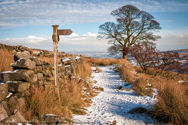 Haworth Moor in Winter Picture Board by Philip Baines