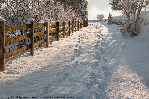 Footsteps in the Snow Picture Board by Philip Baines